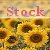 :iconsouthernflower-stock: