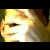 :iconsouthernyank: