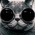 :iconsovelliss06: