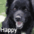 :iconsovera: