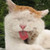 :iconsowannakannn: