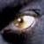 :iconsox109: