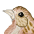 :iconsoysparrow:
