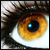 :iconsp-illana: