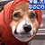 :iconsp0rsk: