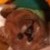 :iconspace-core123: