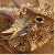 :iconspace-lord: