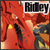 :iconSpace-Pirate-Ridley: