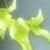 :iconspace-taken: