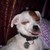 :iconspaceace925: