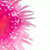 :iconspaceache:
