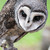 :iconspaceball-ricochet: