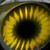 :iconspaceinvaderj: