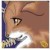 :iconspacer9247: