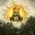 spaceship-hawkwind :iconspaceship-hawkwind: