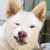 :iconspade04:
