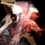 :iconspade312: