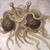:iconspaghettimonsterplz: