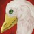 :iconspaghettiseagullplz: