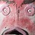:iconspahane: