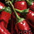SpaiciFud :iconspaicifud: