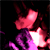 :iconspalam-sie: