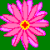 :iconspamforfrog: