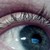 :iconspamnature: