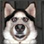 :iconspamoom: