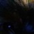 :iconspankie63: