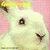 :iconspankthekittycat: