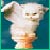 :iconsparcle5: