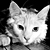 :iconspare-oom: