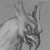 :iconsparkafterdark: