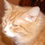 :iconsparkle-s: