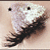 :iconsparkle-tangerine: