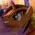 :iconsparkler99: