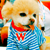 :iconsparkling-eye: