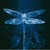 :iconsparklingdragonfly: