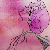 :iconsparkly-nasta: