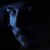 :iconsparkof: