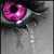 :iconsparks789: