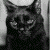 :iconsparkthatwasspawned: