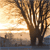 :iconsparktography:
