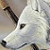 :iconsparkythedragonwolf: