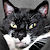 :iconsparrowsphotos: