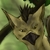 :iconsparrowstar: