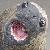 :iconsparrrtan127: