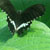 :iconspartan-058: