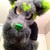 :iconspartan-c011: